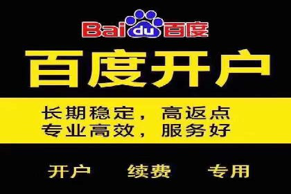 百度竞价代理的投放策略及某行业成功案例